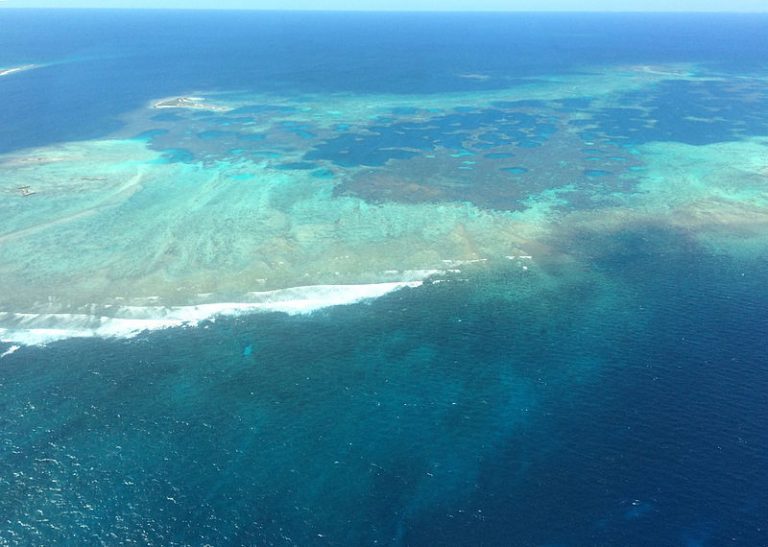 Tasmanian salmon farmers reveal plan for huge fish farm in Western Australia