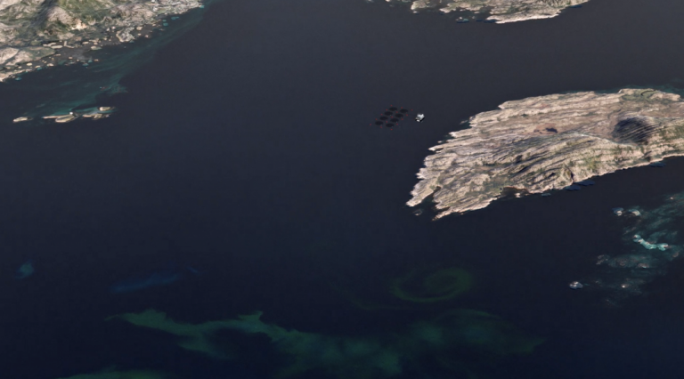 Satellites to pick up algea bloom outbreaks from outer space