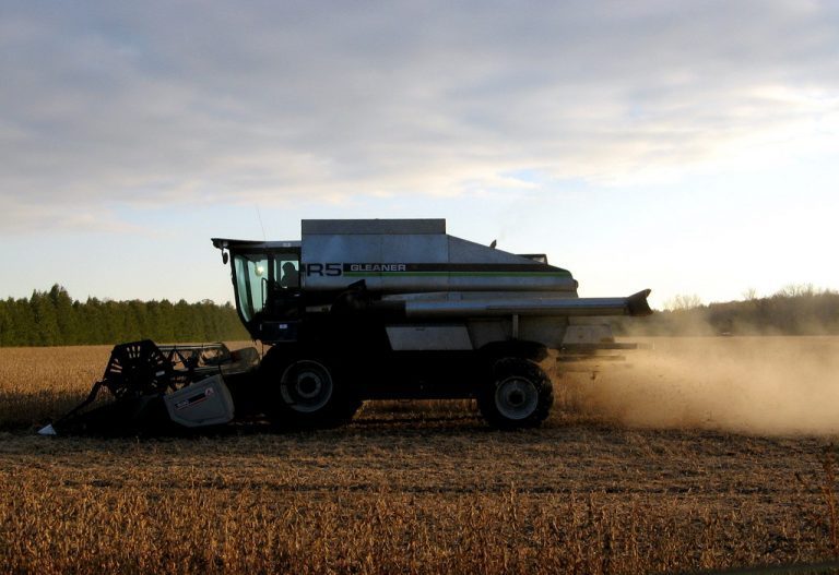 Brazil soybean suppliers linked to deforestation, violence and slavery finds its way to Norwegian salmon supply chain