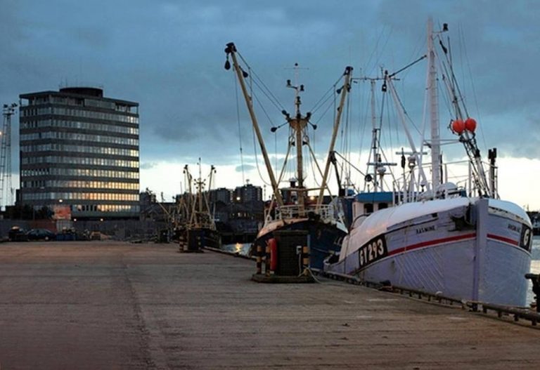 Young’s in talks with Scandinavian seafood player