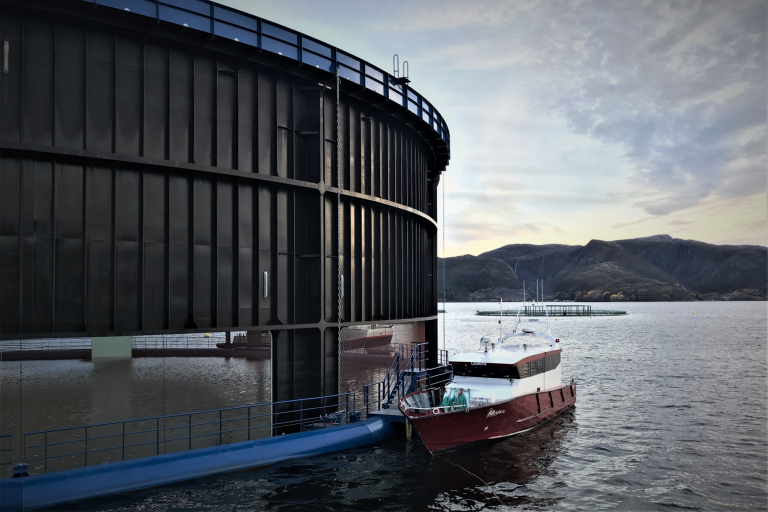 “Aquatraz” salmon farm filled with 190,000 fish and in operation
