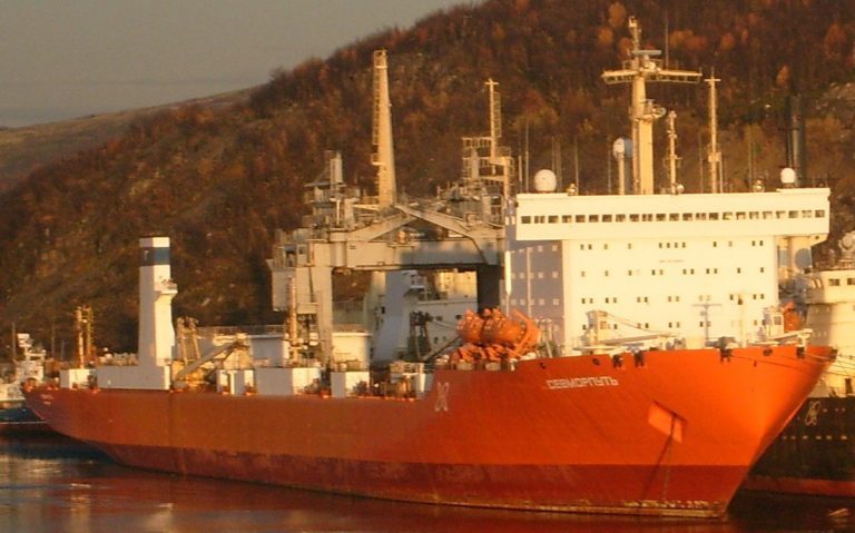Russian nuclear-powered container ship to transport frozen fish on Northern Sea Route