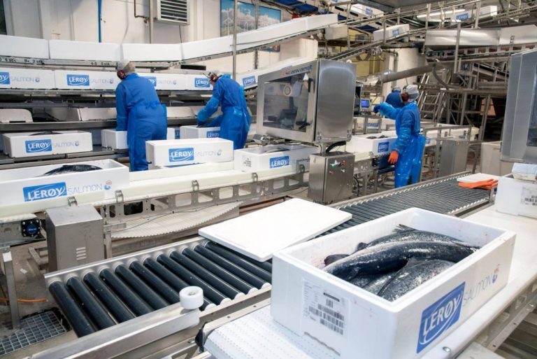Lerøy reach € 1.6 per kilo this Q3 thanks to good biological production
