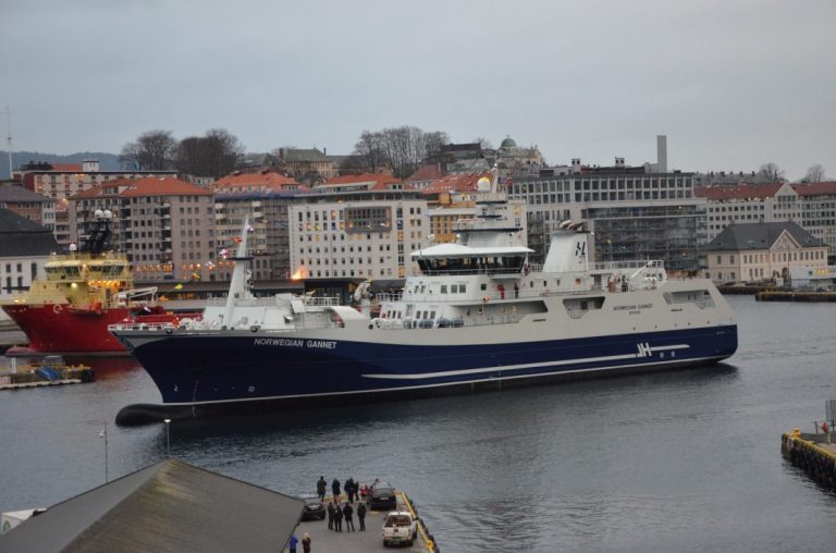 Historic floating dock sinks near harvest vessel “Norwegian Gannet”