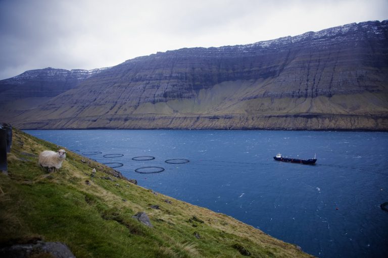 “If the product can withstand Faroe Islands weather, it can endure anywhere. We have the worst weather in the entire world!”