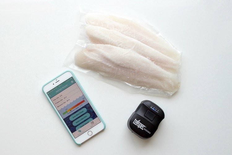 This small futuristic fish scanning device is going to fight the billion dollar seafood fraud industry