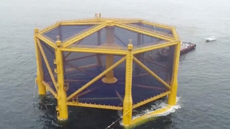 China gets ready to harvest first batch of farmed salmon from huge, deep sea fully-submersible fish cage
