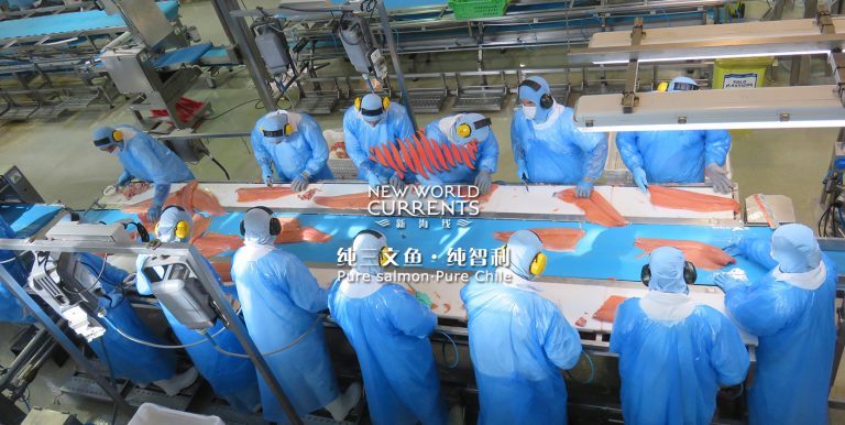 Chile-China salmon farming trade alliance appoints new managing director