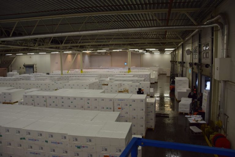 1000 tonnes of salmon goes through this cold storage terminal every week