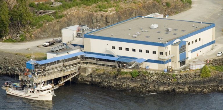 Marine Harvest Canada improves and speeds up production time at Port Hardy processing plant