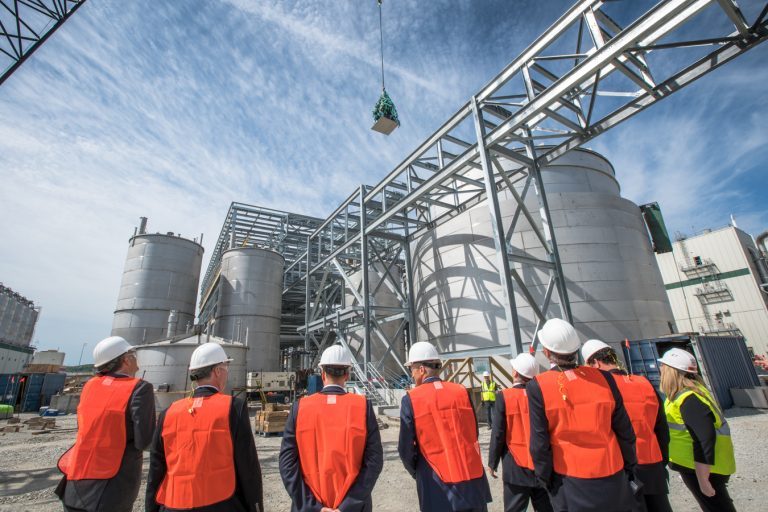 Veramaris hires new team to accelerate global market development of algal oil