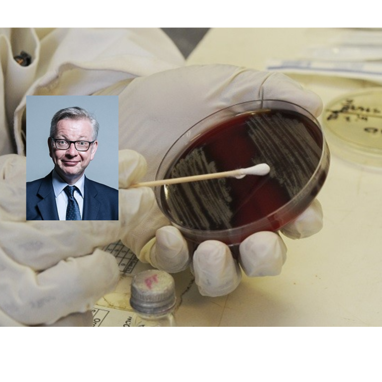 UK antibiotic resistance five-year national action plan looks to salmon farming as model of success