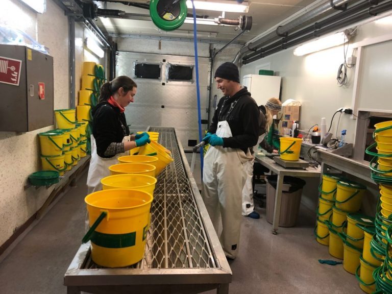 “We supply eggs to our entire system, including Scotland, Ireland and the Faroe Islands”