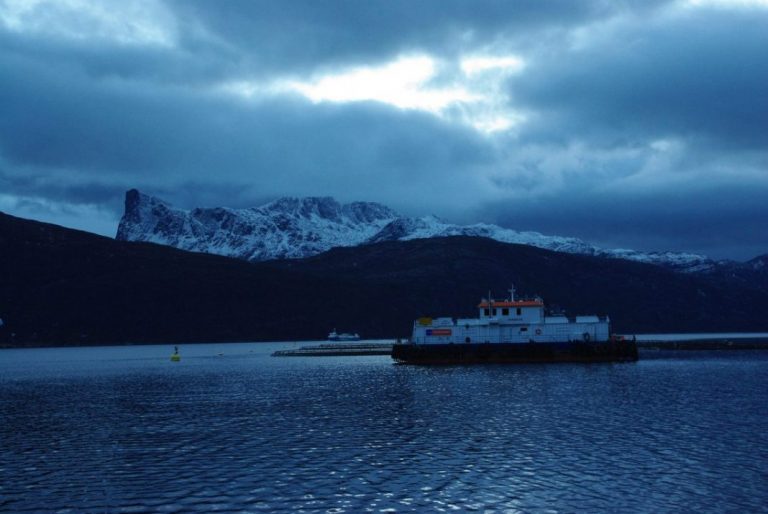 Over two-thirds of all salmon and trout that escaped last year in Norway belonged to this salmon farmer