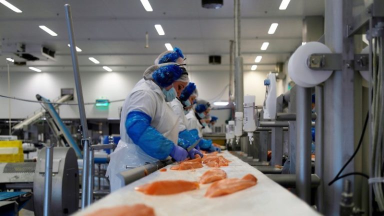 Bremnes Seashore on selling 1,000 tonnes of salmon fillets in France under its own brand