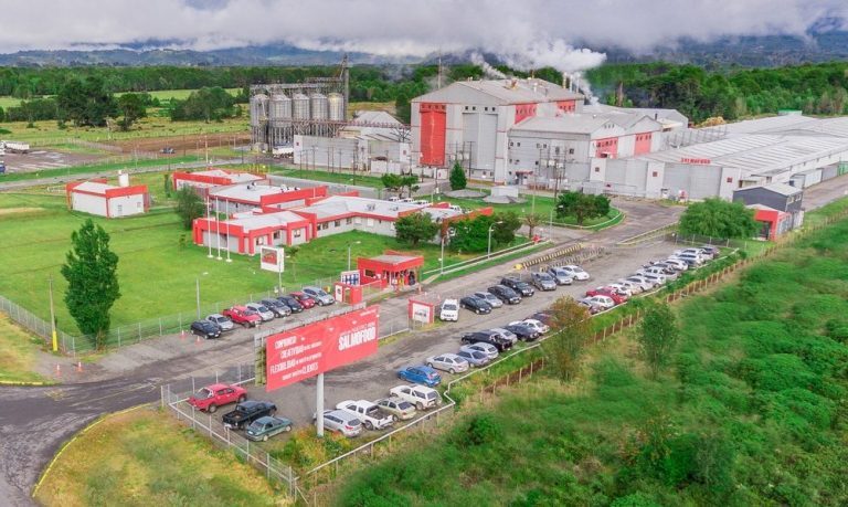 Chilean salmon feed plant on lockdown as strikes continue