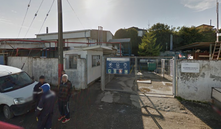 Worker seriously injured by crane vehicle at salmon processing plant