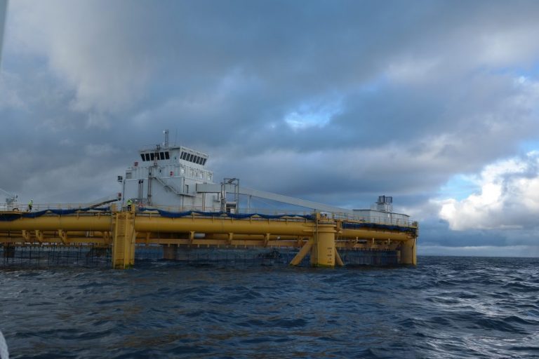 ILA detected at world’s first offshore salmon farm