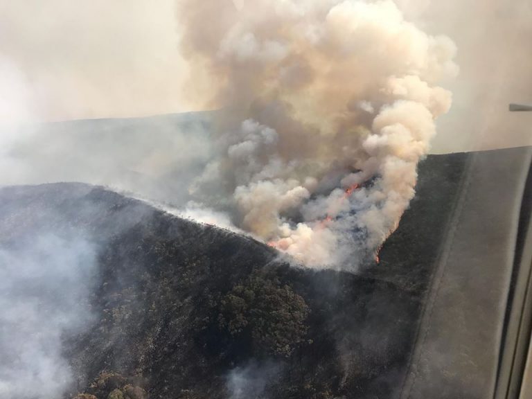 Tasmania bushfires: Salmon farmer has seven different sites exposed to blaze engulfing state