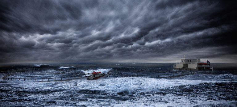 Higher costs eat away into earnings, but AKVA ends year with record high order intake