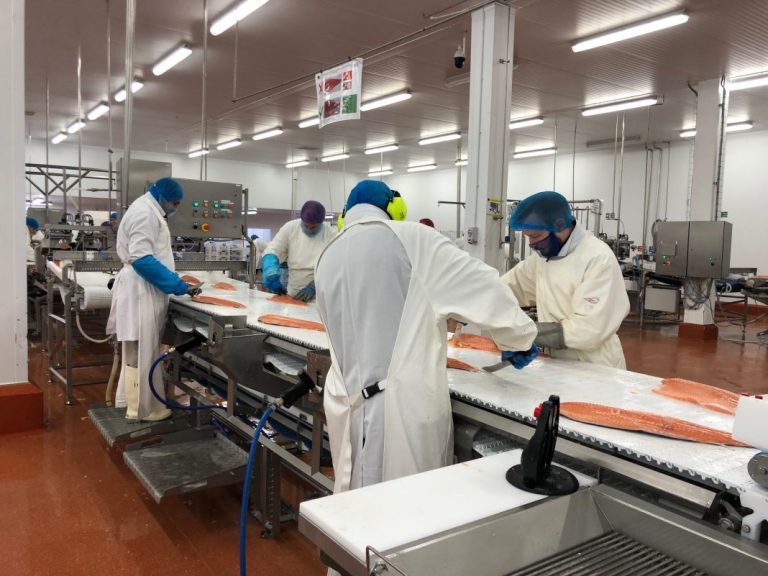 Two Mowi plants are under investigation after being raided by EU competition authorities