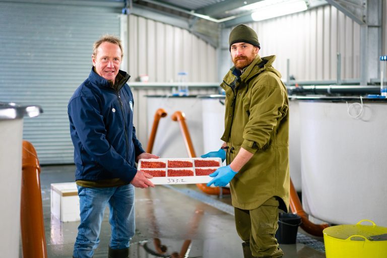 Scottish Salmon Company help launch wild salmon restocking project