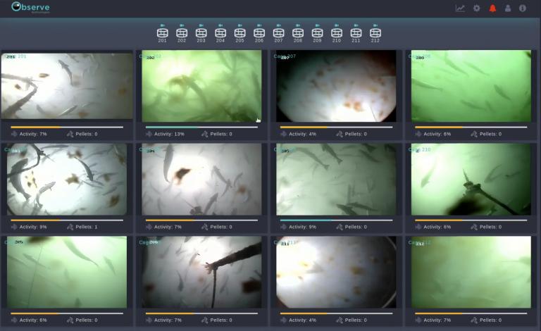 AKVA partner with Observe Technologies to create artificial intelligence feeding assistant