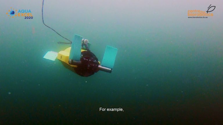 Researchers mimic nature with “turtle robots” that can stealthily observe salmon