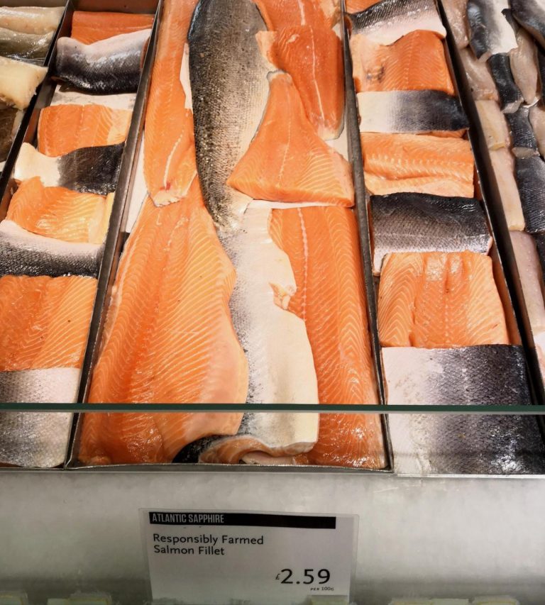 Land-based farmed salmon goes on sale in UK