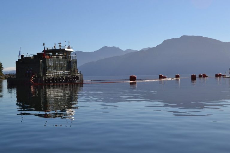Chile’s frozen salmon inventory swells to over 50,000 tonnes