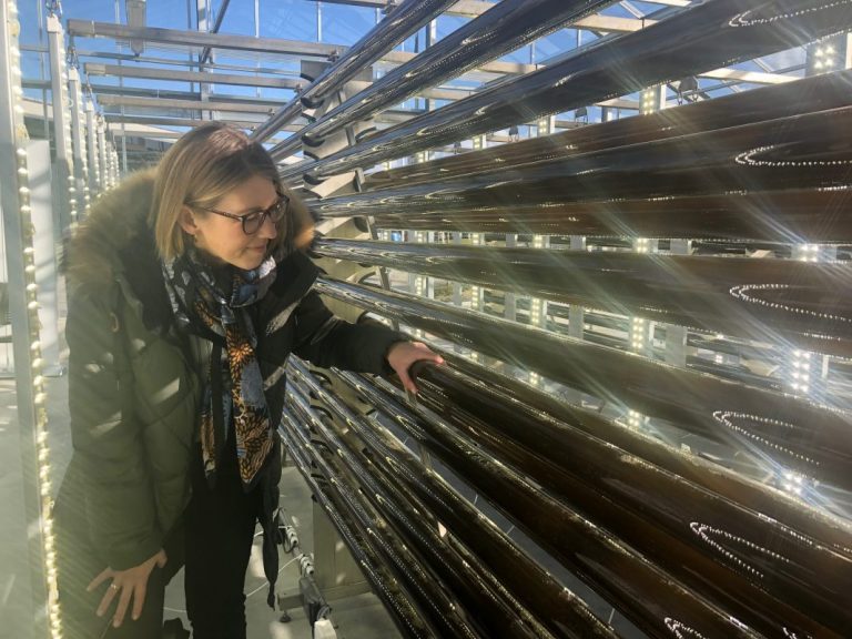 “We want to connect several value chains together”