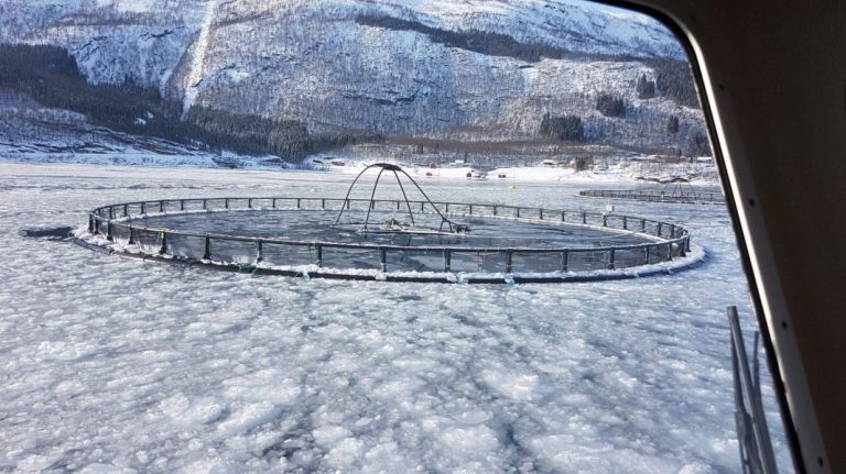 Mowi working 24/7 to break up ice to avoid sea cage damages: “It’s messing up the routine”