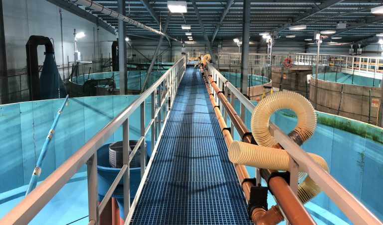 £2 million study to look into impact of new farming technologies on salmon
