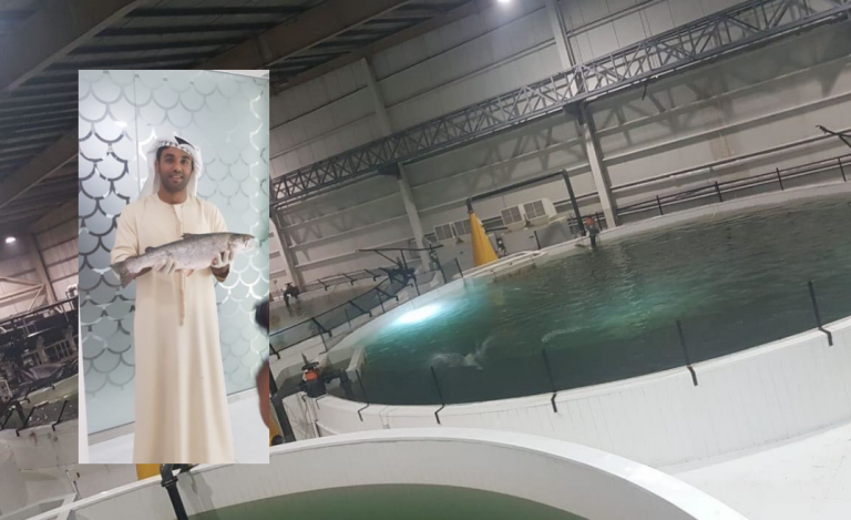 UAE celebrates its first ever salmon harvest: “It’s very exciting every day to see our salmon leaping”