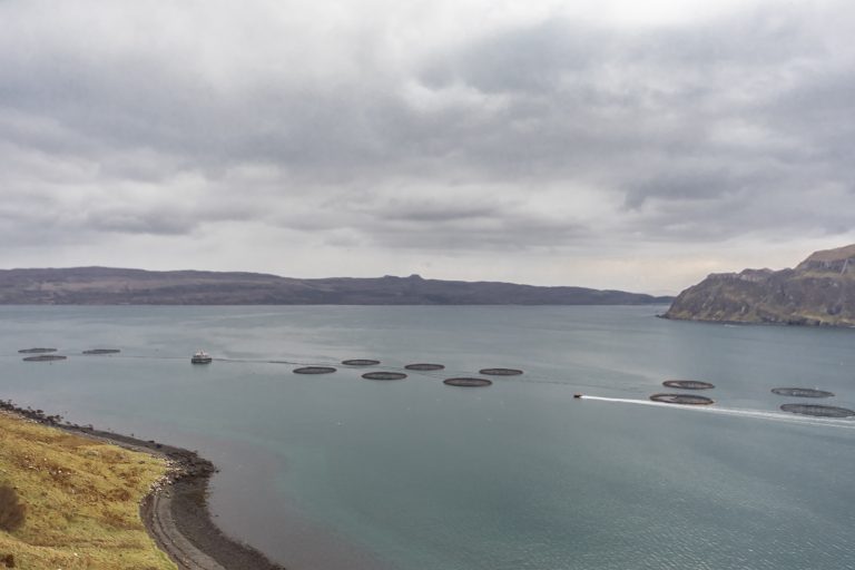 The Scottish Salmon Company launches 400T SeaMate feed barge