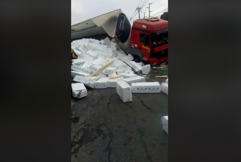 Truck containing huge amount of salmon spills onto road in Chile
