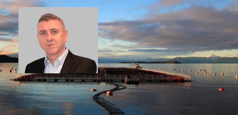 Cermaq reports 95 percent survival rate in 2021, missed zero-escape target