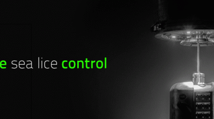 Stingray_TopBoard_980x300-NY