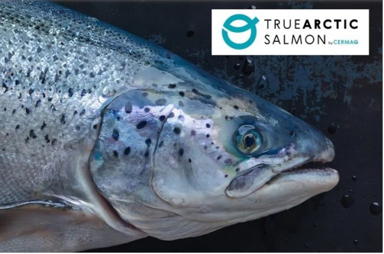 Cermaq launches new brand platform: “True Arctic – slow raised salmon”