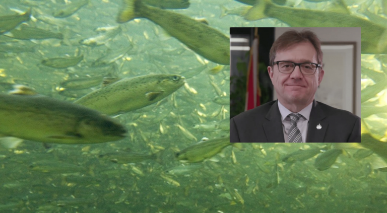 Fisheries minister on Namgis and Morton PRV court decision: “We will not be appealing”