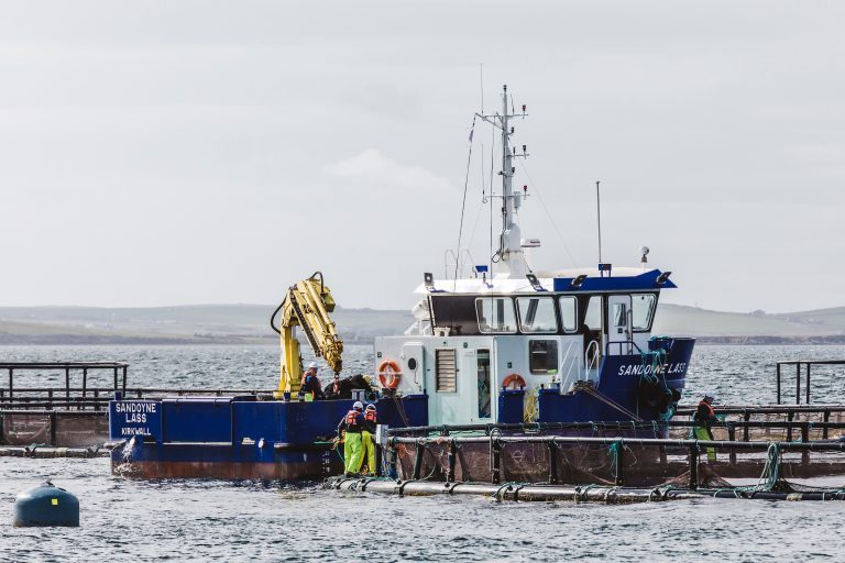 Scottish Sea Farms embarks on multimillion spending blitz ahead of new salmon farm launch
