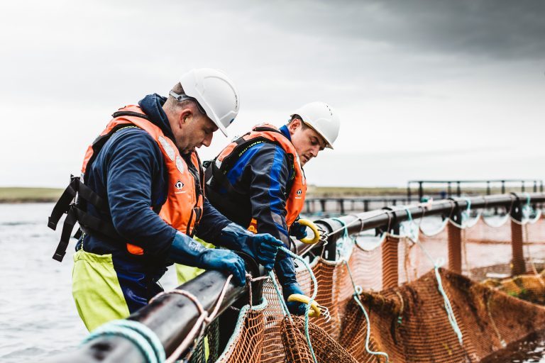 Scottish Sea Farms: expands management training programme