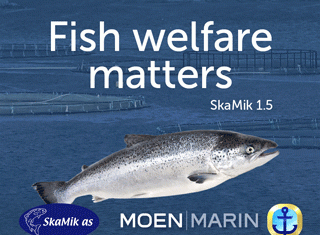 Mal_Salmonbusiness.com_320x250pix.2