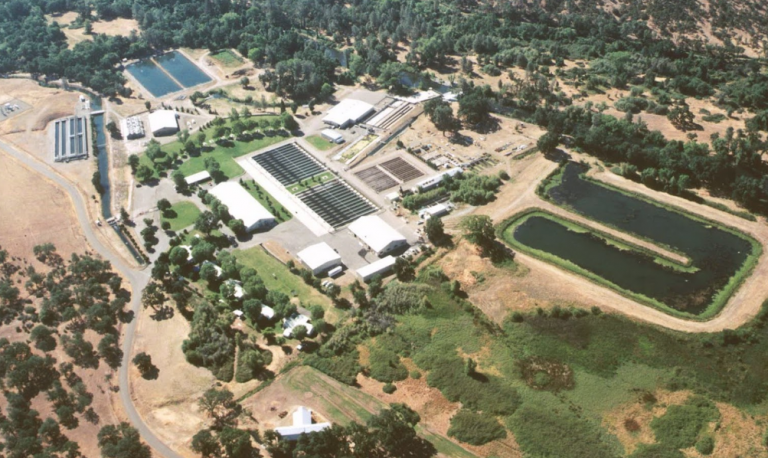 390,000 salmon die at historic hatchery