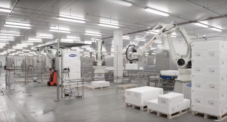 Robots can palletise more than 60 tonnes salmon per hour at Hirtshals seaport