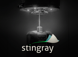 Stingray_SalmonBusiness_ArtBoard_320x250