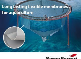 banner-salmonbusiness-320×250