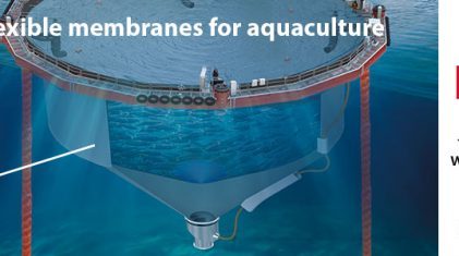 salmonbusinness final baner