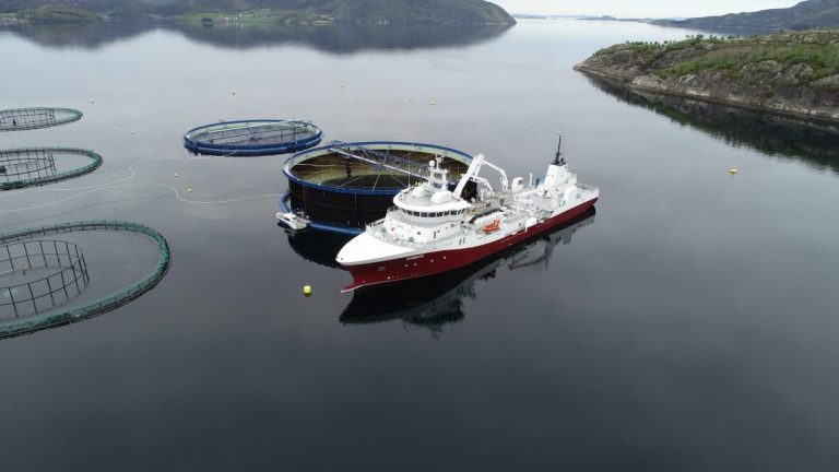 Aquatraz has delivered its first harvest