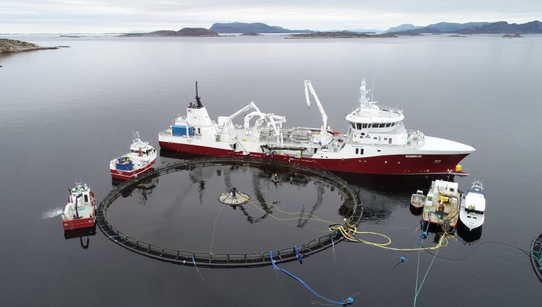 Atlantis Subsea Farming has for the first time deployed fish in its submersible pen